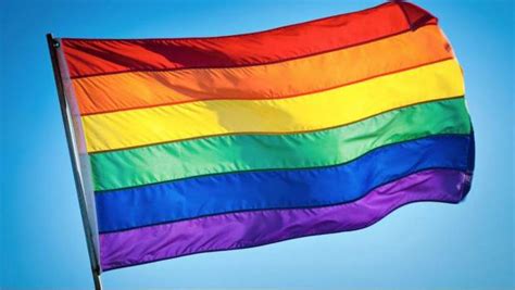 La bandera lgbt que mejor te representa refleja la diversidad de la sexualidad humana. Brasil volverá a tratar la homosexualidad como una enfermedad