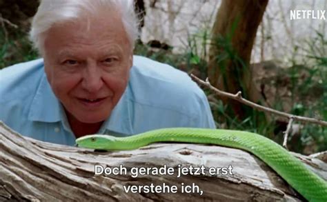 In dem dokumentarfilm „david attenborough: David Attenborough: Mein Leben auf unserem Planeten (2020 ...