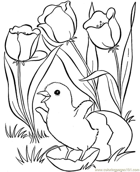 Map coloring page free pages french printable Spring Coloring Page for Kids - Free Chicks, Hens and ...