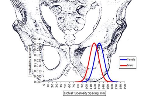 How to measure your own sit bones. saddle - Replacing the bike seat on my mid-1990s Trek ...