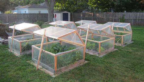 I have one tower garden that will be staying outside all winter long this year. These are my mini greenhouses for winter gardening. They ...