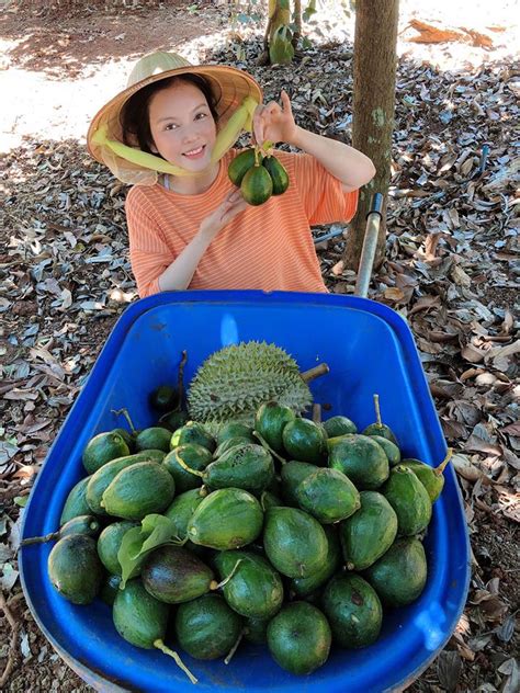 Trung quốc là kẻ ngông cuồng trên chính trường quốc tế, hãy để pháp luật quốc tế và các bằng chứng pháp lý rõ ràng về lãnh thổ chống lại kẻ ngông cuồng đó. Lý Nhã Kỳ khoe tài sản khủng trong khu nghỉ dưỡng triệu đô ...