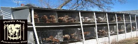 She pants heavily in the heat of the blackened shed, unable to escape into a cooler location. Puppy Mill Awareness Day Logo - Puppy Mill Awareness Day