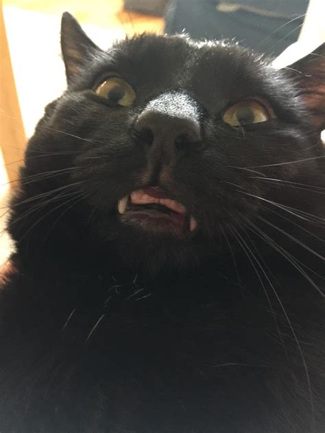 This public document was automatically mirrored from pdfy.original filename: Reddit, meet Peter. : teefies