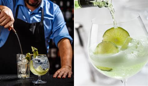 Perhaps this is where the misunderstanding arises that camels store water in their humps. How to Make a Gin and Tonic - the Ultimate Guide | Gin Kin