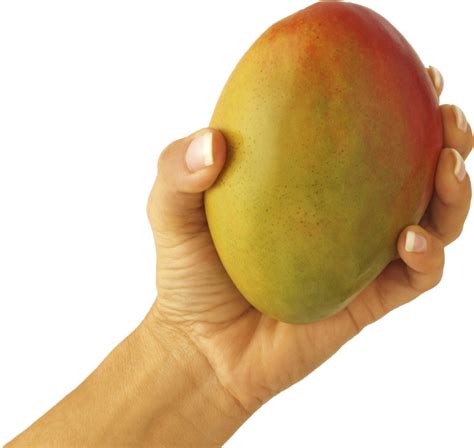 Mango PNG Free Download 5 | PNG Images Download | Mango PNG Free Download 5 pictures Download ...
