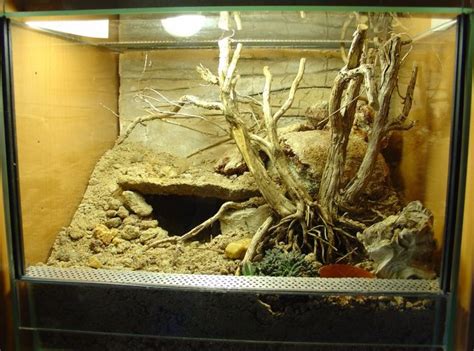 Cut a hole so you can put your arm through the terrarium and you are finished! 17 Best images about Desert Vivarium Inspiration on ...