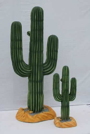 Cacti are succulent plants that live in dry areas. Planning your office or family party? Check out these ...