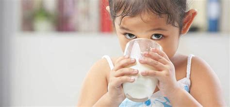 Hal ini akan berakibat pada anak yang ingin minum susu saja dan tidak. Anak kebanyakan minum susu, berbahayakah? Ini penjelasan ...