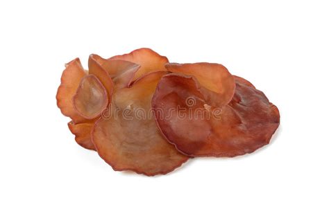 Neu delhi | indiens premierminister narendra modi hat vor der verbreitung. Schwarzer Pilz (Ohr-Pilz Des Juden/Gelee-Ohr) Stockbild ...