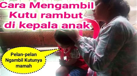 Gpp gua gendut daripada lu kurus gak makan 10 tahun. cara mengambil kutu rambut di kepala anak - YouTube