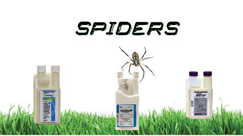 Spray more often when it's hot out and when it's raining. Spider Sprays: Top 5 Brands For DIY Pest Control | Diy ...