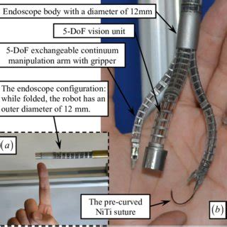 Simply upload a logo, and you'll be presented with visual experiments that test key factors like scalability, silhouette, and balance. Design of the endoscopic continuum testbed: (a) the folded ...