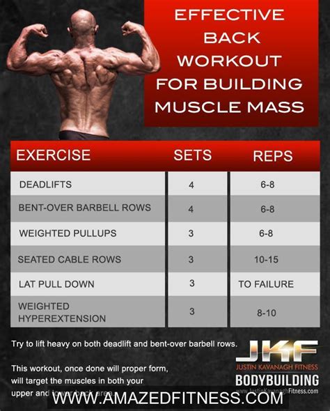 8 Highly Effective Back Exercises For Mass Gain | Back ...