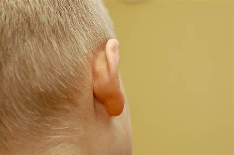 New in a job or place. Why is there a bump behind my ear > NISHIOHMIYA-GOLF.COM