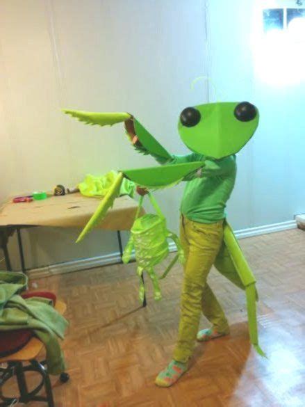 Learn praying mantis facts and folklore from the old farmer's almanac. Make the Most Adorable Praying Mantis Costume Ever | Cool ...