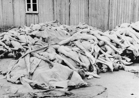 Encuentra fotos de stock perfectas e imágenes editoriales de noticias sobre mauthausen en getty images. View of 180 corpses piled outside a barracks in the ...