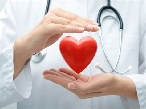 Neste sábado, dia 14 de agosto, é celebrado o dia do cardiologista. Hoje é Dia do Cardiologista - Organics News Brasil