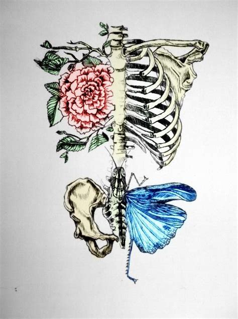 For more anatomy content please follow us and we think this is the most useful anatomy picture that you need. Rib Cage | Anatomy art, Art tattoo, Art inspiration