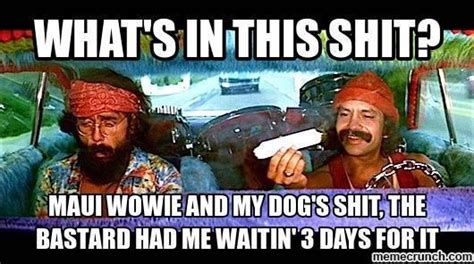 Logged in users can submit quotes. Pin by Ken Drake on Comedy | Cheech and chong, 420 humor, Humor
