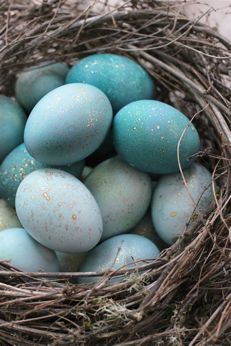 We did not find results for: DIY Dyed Robin Eggs - HonestlyYUM