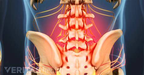 Attached to the pelvis are muscles of the buttocks, the lower back, and the thighs. Lower Back Pain Symptoms, Diagnosis, and Treatment