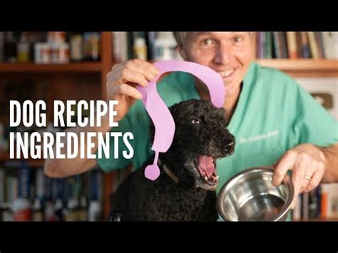 Home dog food recipes recipe: Essential Ingredients for Homemade Dog Food - Veterinary ...