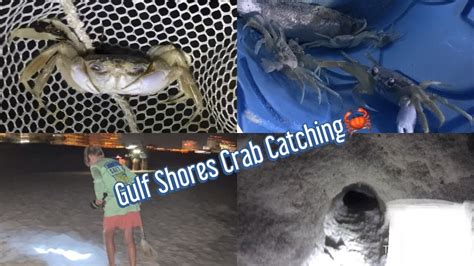 When you buy food, buy local. Crab Hunting At Gulf Shores w/Gills - YouTube