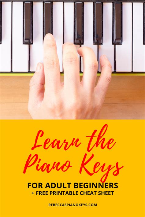 When i was sad, i'd pour over the piano. Learn the Piano Keys! (for Adult Beginners) | Learn piano ...