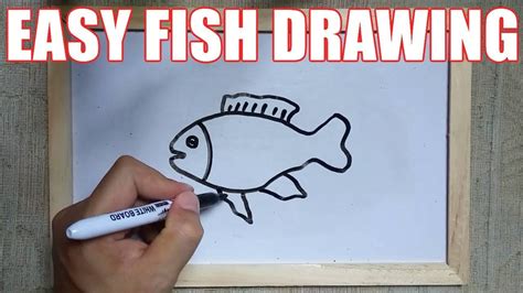 By dawn 131k 100% 0. How to Draw a Fish Step by Step - Easy Fish Drawing ...