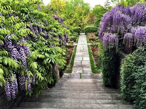 Need to harness those espionage skills? Dumbarton Oaks Gardens, Washington D.C. - Harvard's ...