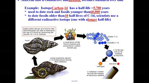 Radiocarbon dating has enabled scientist to determine the age of tutankhamun from the samples taken from his body, and the linen cloth wrapped around the mummy. Radiometric Dating - YouTube