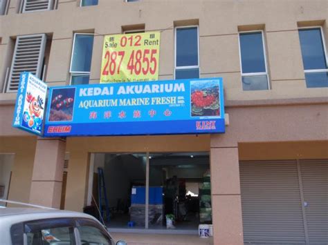 Stocks owned by golden fresh sdn. Aquarium Marine Fresh Sdn Bhd - Petaling Jaya