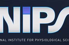nips jp institute internship approximately weeks 2021 sciences physiological national ac