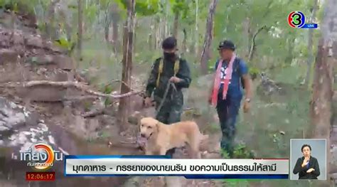 ข่าวผลชันสูตรน้องชมพู่ รวมข่าวผลชันสูตรน้องชมพู่ วันนี้ล่าสุด อัปเดตข่าวของผลชันสูตรน้องชมพู่ ทุกประเด็นข่าววันนี้. ข่าวน้องชมพู่ ผลตรวจขนต้องสงสัยออกแล้ว ที่แท้เป็นของ น้อง ...