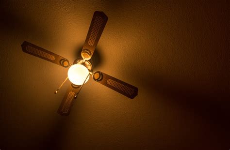 Lay down some carpets and underlays. Ceiling Fan Making Noise: How To Quiet Clicking, Ticking ...