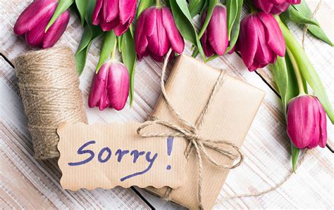 Once you know why they are upset, letting them know how sorry you are becomes much more meaningful. Flowers: The Best Way to Say 'Sorry' - zFlowers.com Blog