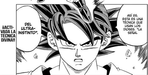 Conclusión y capítulo 66 : Dragon Ball Super: Goku alcanzó el Ultra Instinto en la nueva saga del manga | Dragon Ball ...