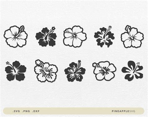 Download Hibiscus Flower SVG | Flower svg, Hibiscus, Hibiscus flowers