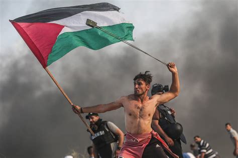 Encontre fotos de stock de alta qualidade que você não acha em nenhum outro lugar. Foto de palestino em protestos viraliza e é comparada a ...