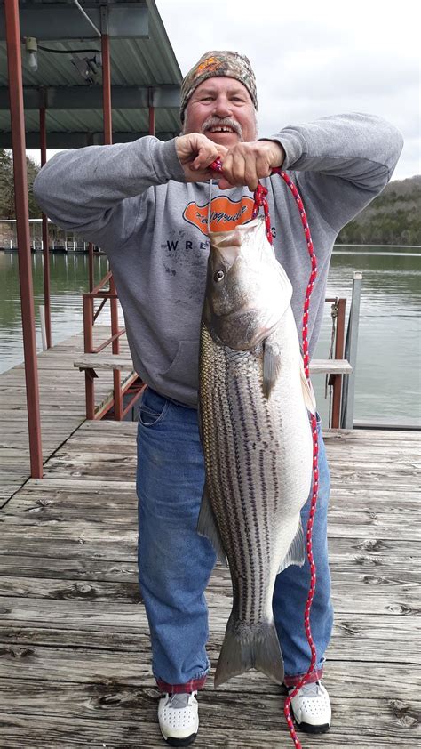 Put boat in the slip with a minimal ammount of fuel. James River Striper! - Table Rock Lake - OzarkAnglers.Com ...