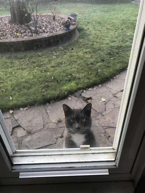 Jun 28, 2021 · texas dad shoots alleged 'peeping tom' spotted outside daughter's bedroom suspect shot during altercation at nearby gas station. Caught this stranger peeping in the bedroom window. : notmycat