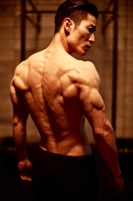 Overview of the back muscles: Back Muscles Reference / Lower Back Muscle Anatomy ...