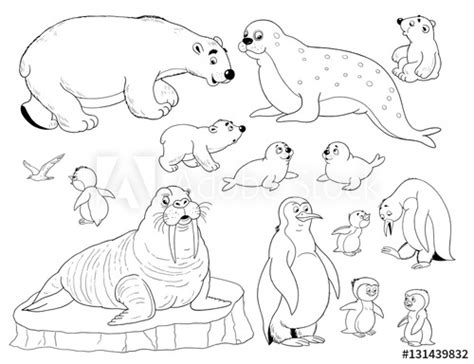 Free printable arctic polar animals to color and use for crafts and animal learning activities. Set of cute arctic animals. Coloring page. Penguins ...