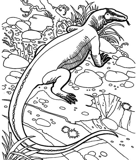 Or make up your own colorful komodo dragon. Komodo Dragon Hiding Behind Grass Coloring Pages ...