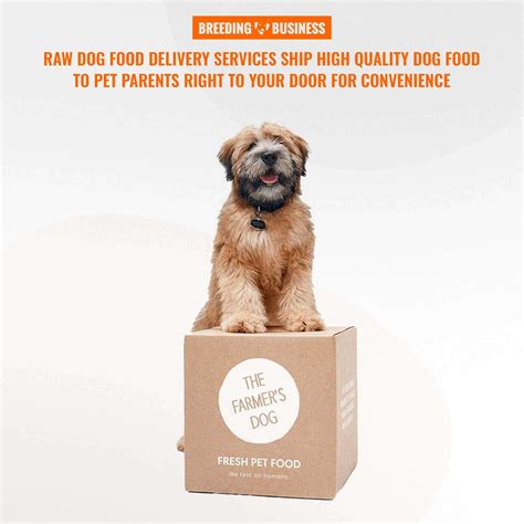 Free shipping on orders $49+, low prices and the best customer service! Raw Dog Food Delivery - Services and Cost — Breeding Business