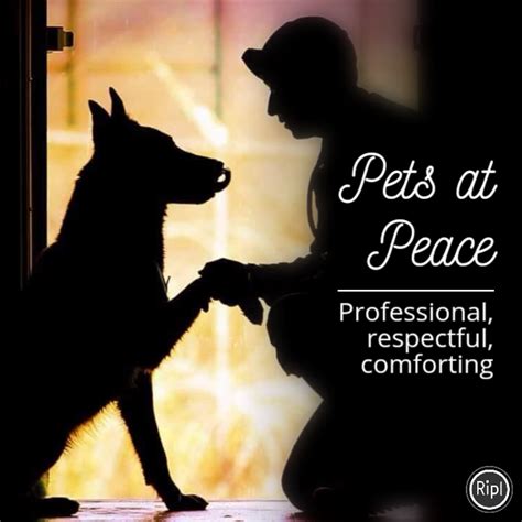 We are an in home hospice and euthanasia service for pets in ma and nh. Pets at Peace_Pic 1 - PinkPlayMags