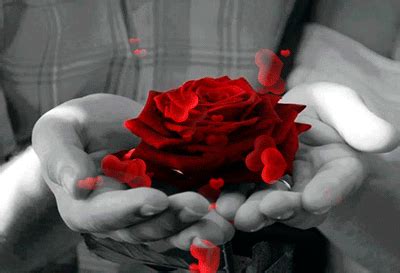 Condivi direttamente la gif oppure scarica la gif gratuitamente, tieni premuta la gif e seleziona scarica. Анимация Девушка держит в руках красную розу, из которой ...
