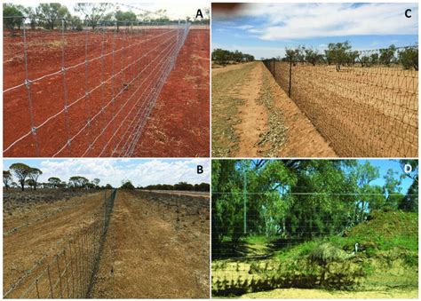 Coman and mccutchan (1994) provide examples where fox exclusion fences have cost between. Pest Exclusion - Pest Exclusion Fence 978 613 9 03325 6 ...