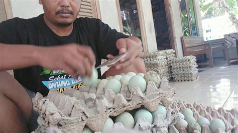 Maybe you would like to learn more about one of these? Telur bebek. - YouTube